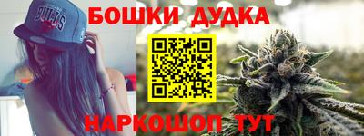 дмт Обь