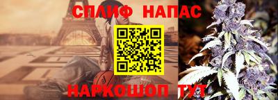 СК Нягань