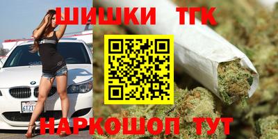 дмт Обь